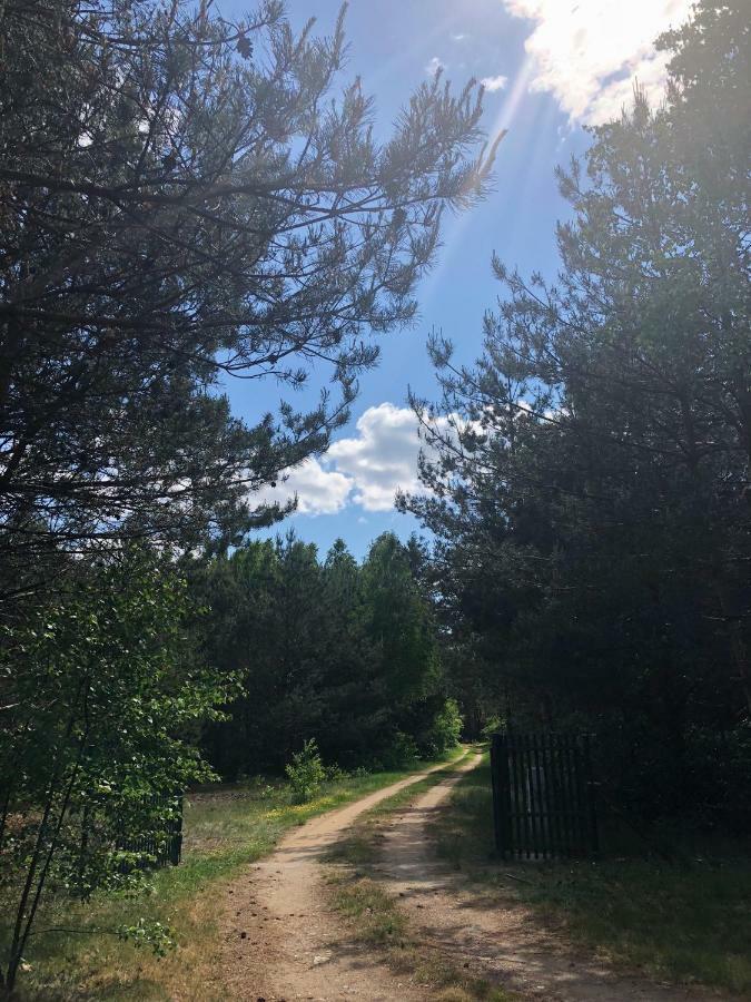 Ferienhaus Sosnowka - Na Kurpiach