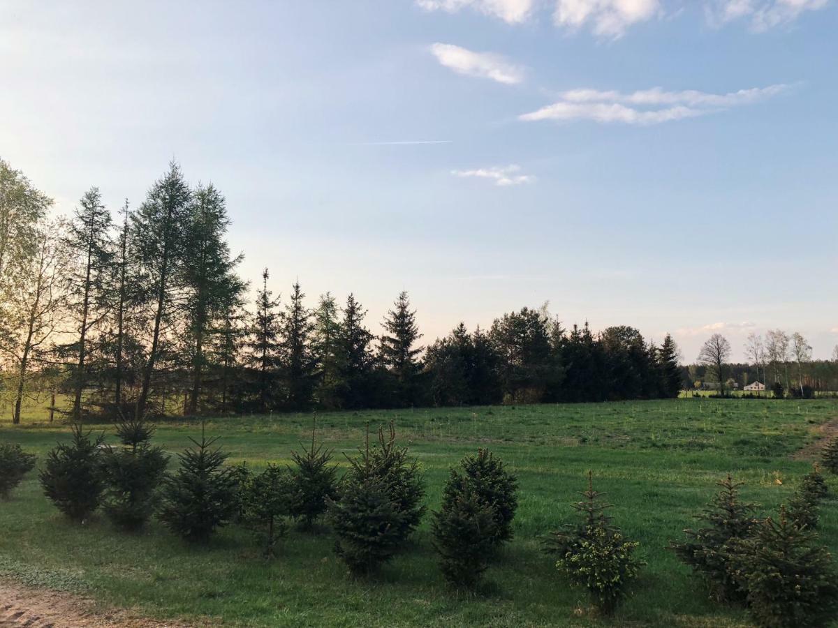 Ferienhaus Sosnowka - Na Kurpiach